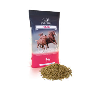 Energys BABY 25kg